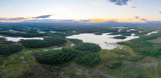 istock Lakes and forest at sunset 1418033125