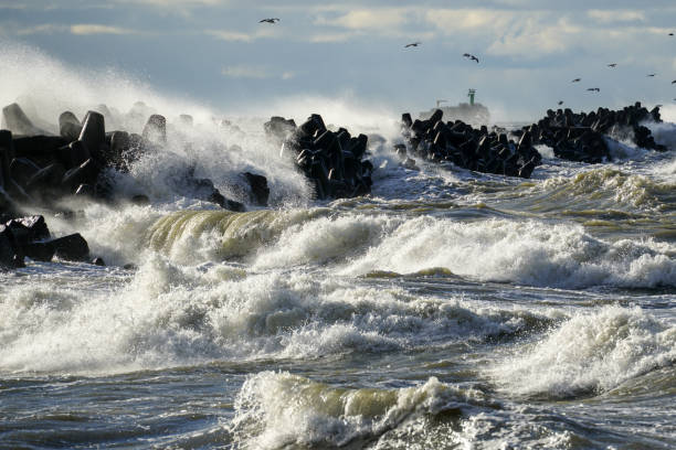 grandi onde create durante il tempo tempestoso si schiantano contro i tetrapodi di cemento frangiflutti - sea defence concrete foto e immagini stock