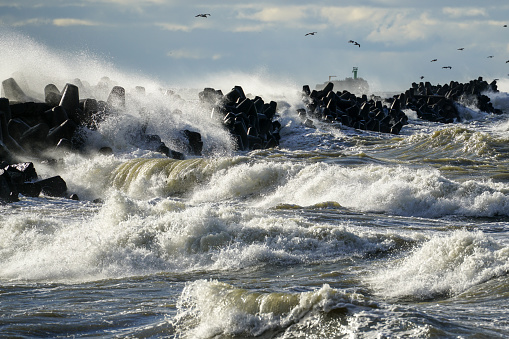 Big waves created during stormy weather crash against the breakwater concrete tetrapods