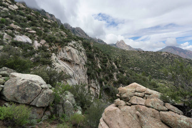istock Fog Rolls Back In, Aguirre Springs, Monsoon Season 1418034506