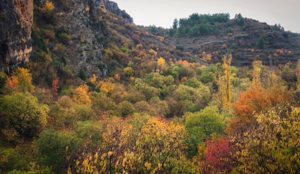 istock landscape of an autumn forest with waterfall 1418036983