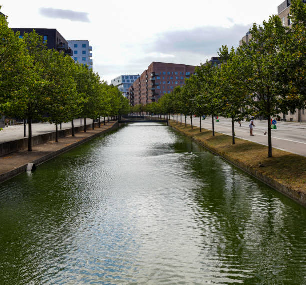 istock promenade with trees and river between building 1418045035