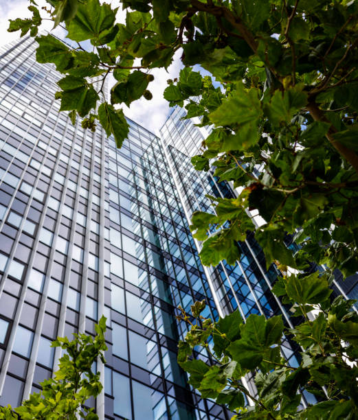 istock green tree against a facade of modern building 1418045046