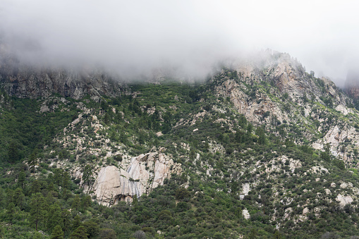 Aguirre Springs in monsoon season, with waters high and vegetation green fog crawls over Organ peaks into jagged profiles, monsoon rains drain off painted cliffs
