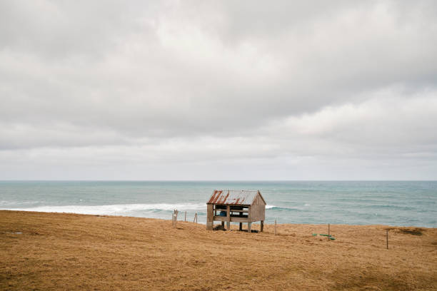 istock Abandoned shed on shore of sea 1418050615