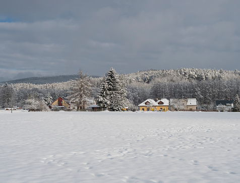 Winter landscape with view of village Travnik with country houses and cottage, surrounded by snow-covered fields and snowy frost forest and trees on cloudy day.