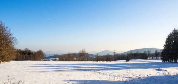 istock winter field and forest countryside snow covered panoramic landscape with trees, hill in luzicke hory mountain 1418050901