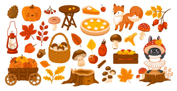 ilustrações de stock, clip art, desenhos animados e ícones de autumn forest and garden collection. fall season design elements. pumpkin, mushroom, rabbit, foliage. vector flat illustration. - autumn collection