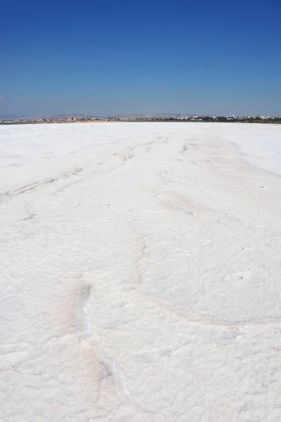 Big white salt lake view from the middle of the dried up lake on a sunny, hot day while the lake bed having shiny white salt crystals stock photo