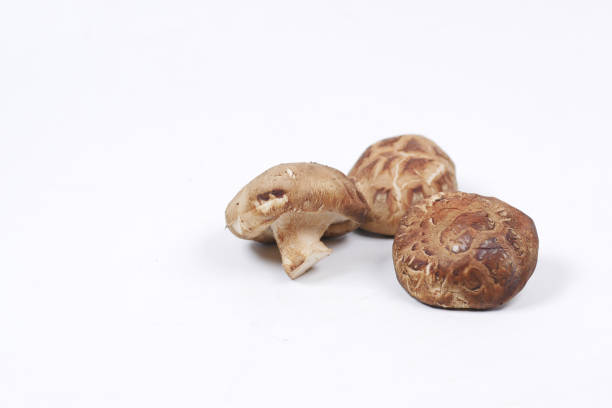 istock raw champignon mushroom on white background 1418060694