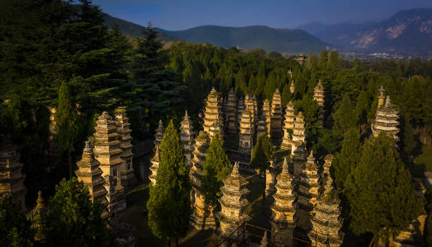 Pagoda Forest of Shaolin Temple in China Pagoda Forest of Shaolin Temple in China shaolin monastery stock pictures, royalty-free photos & images