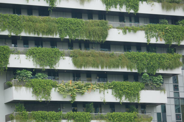 istock building with plants growing on the facade 1418066660