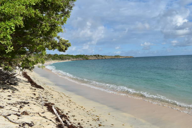 istock Petite Carenage Beach, Carriacou, Grenada 1418072618