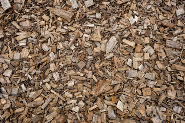 istock Wooden splinters closeup. Decorative wood chips texture. Natural material pattern of yellow wooden pieces of tree bark. Full filled frame picture. View from above. 1418073821