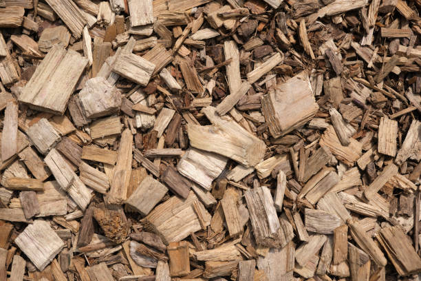 istock Wooden splinters closeup. Decorative wood chips texture. Natural material pattern of yellow wooden pieces of tree bark. Full filled frame picture. View from above. 1418073833