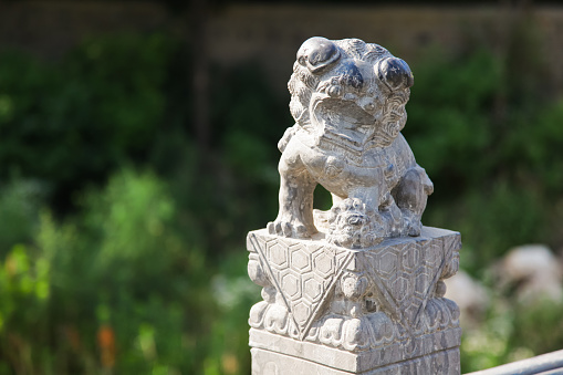 Chinese lion statue