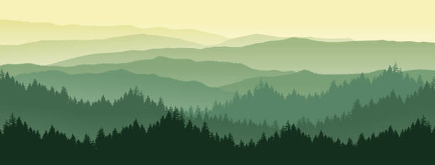 ilustrações, clipart, desenhos animados e ícones de paisagem da montanha e floresta de pinheiros de manhã e à noite. imagem de fundo vetorial da natureza. - tree silhouette meadow horizon over land