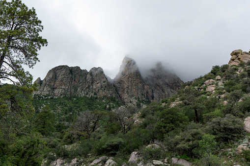Aguirre Springs in monsoon season, with waters high and vegetation green fog crawls over Organ peaks into jagged profiles