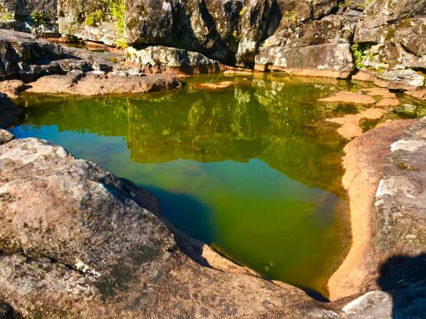 istock Wally Creek, Vancouver Island 1418090452