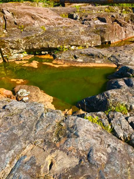 istock Wally Creek, Vancouver Island 1418091558