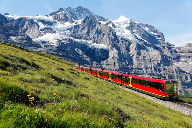 관광 열차는 융프라우요흐(jungfraujoch, 유럽 정상)에서 스위스 베른 오버랜드(bernese oberland)의 푸른 햇볕이 잘 드는 하늘 아래 푸른 잔디밭 언덕에 피는 클라인 셰이데그 & 야생화까지 융프라우 철� - berne canton switzerland landscape travel 뉴스 사진 이미지