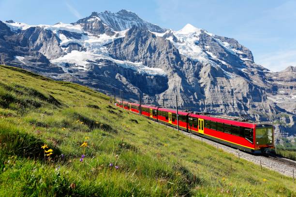 A tourist train travels on Jungfrau Railway from Jungfraujoch (Top of Europe) to Kleine Scheidegg & wild flowers bloom on a green grassy hillside under blue sunny sky in Bernese Oberland, Switzerland A tourist train travels on Jungfrau Railway from Jungfraujoch (Top of Europe) to Kleine Scheidegg & wild flowers bloom on a green grassy hillside under blue sunny sky in Bernese Oberland, Switzerland swtizerland stock pictures, royalty-free photos & images