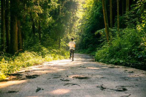 Young man jogging on a forest road