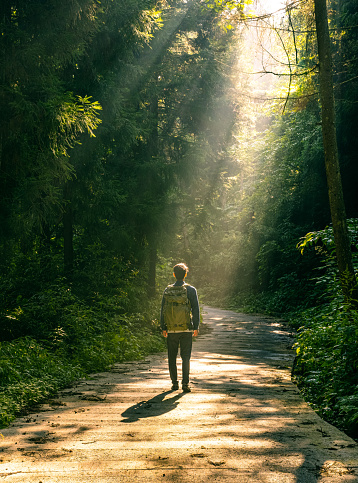 istock Traveler with backpack walking in morning forest road 1418098043
