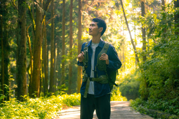 istock Traveler with backpack in morning forest road 1418098245