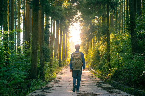 Traveler with backpack in morning forest road