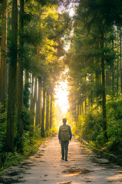istock Backpacker travel alone on a forest road 1418098291