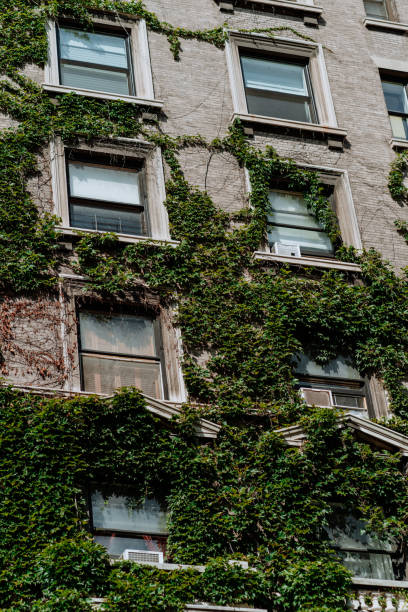 istock buildings facade with green wall 1418100846