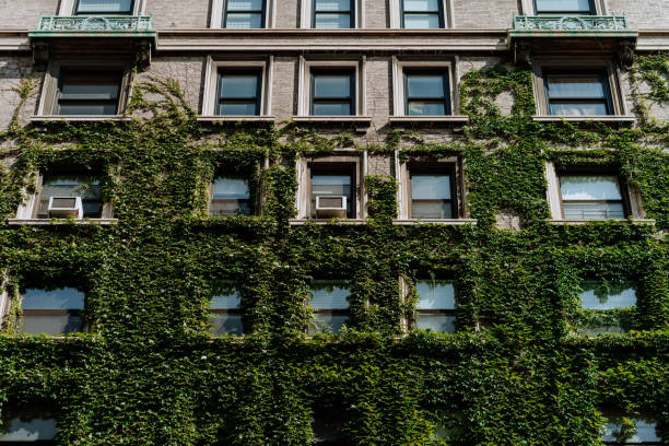 istock buildings facade with green wall 1418100868