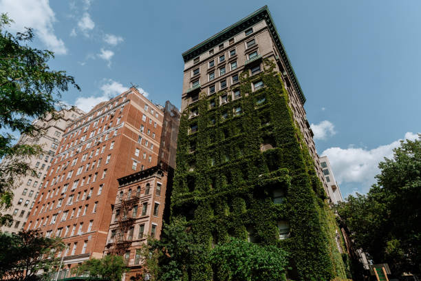 istock buildings facade with green wall 1418100888