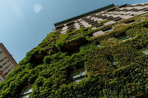 istock buildings facade with green wall 1418100897