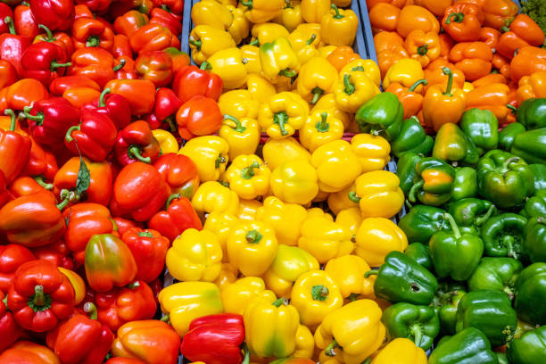 pimentão em cores diferentes - green bell pepper bell pepper red bell pepper groceries - fotografias e filmes do acervo