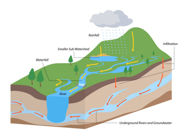 산 강 하천이있는 수역 시스템으로서의 유역 - reservoir ecology stock illustrations