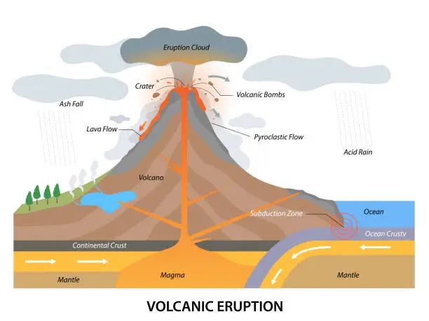 Vector illustration of Volcanic eruption process structure with geological side view