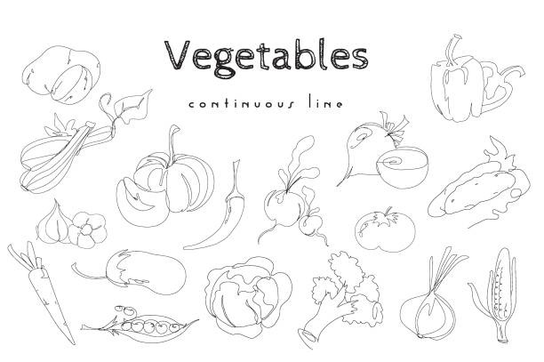 Set  of hand drawn vegetables in continuous line style. Potatoes, zucchini, carrots and many other vegetables set. Vegetables minimalist black linear sketch isolated on white background. Vector one line vector art illustration