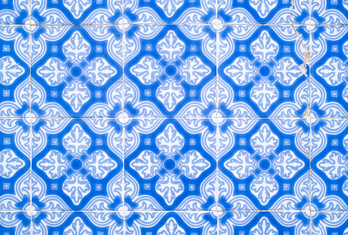 Portuguese Style: Antique Floral (17th Century) Wall Tiles in Blue and White.
