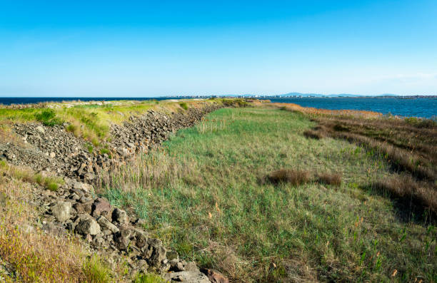istock Sand strip between Pomorie and Aheloy towns 1418105504