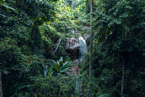 istock Waterfall in tropical forest,waterfall in jungle 1418107836