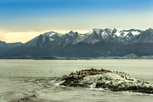 Island of the Sea Wolves, as a background the city of Ushuaia at feet of the Andes, in the Beagle Channel, Tierra del Fuego, Patagonia, Argentina.