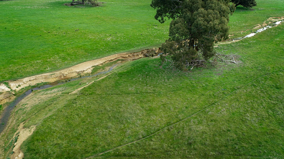 Creek carved through grazing land on a farm in Heathcote in Central Victoria