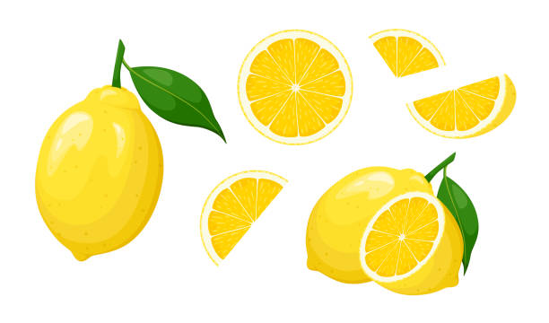 A set of ripe lemons A set of ripe lemons on a white background. Cartoon design. isolated fruits stock illustrations