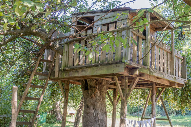 Wooden tree house built on the trunk of a tree against green foliage in blurred background stock photo