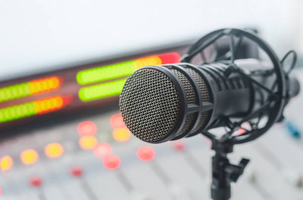 Professional microphone and sound mixer