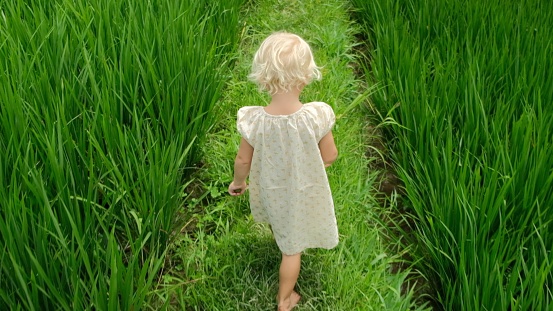 A barefoot baby with blond hair is walking on the grass of a rice terrace. Carefree cute child walks in the green field. Slow motion video. Vacation in an Asian country with children.