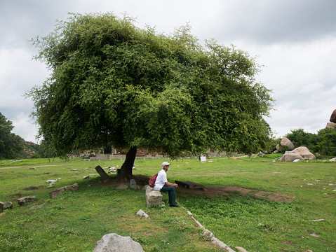 Senior person setting near Old Indian Jujube tree at Hampi state Karnataka India