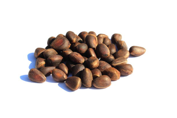 букет кедровых орехов на белом фоне. - pine nut nut isolated pine cone стоковые фото и изображения